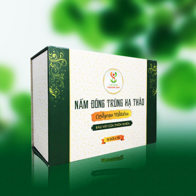 Đông trùng hạ thảo sợi sấy thăng hoa 15 gram