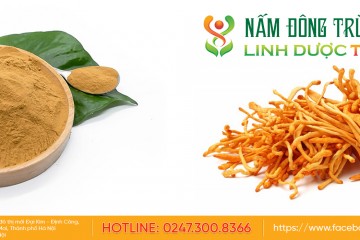 Ưu điểm vượt trội của nấm đông trùng hạ thảo sấy thăng hoa so với sấy nhiệt