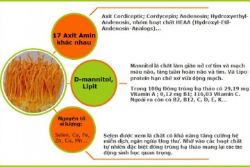 Tăng cường hệ miễn dịch: Một hành trình cần sự kiên trì và tri thức