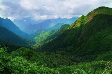 Từ linh dược Tây Tạng đến khí chất Trường Sơn: Hành trình cảm nhận và linh ứng