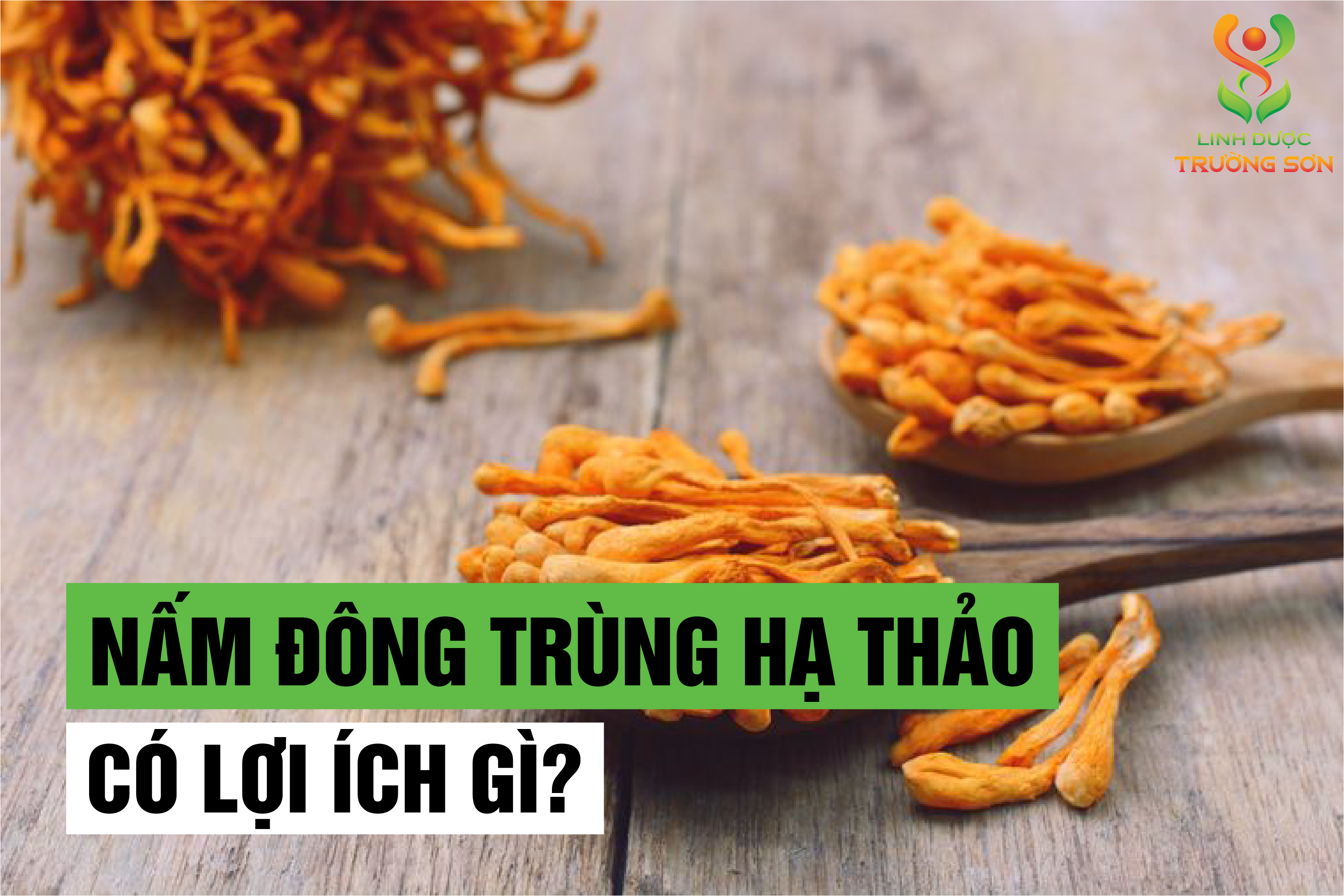 Lợi ích của đông trùng hạ thảo