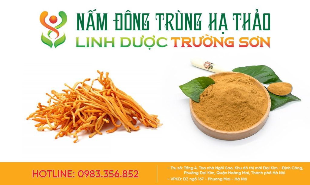 Cách sử dụng đông trùng hạ thảo để không lãng phí dược liệu