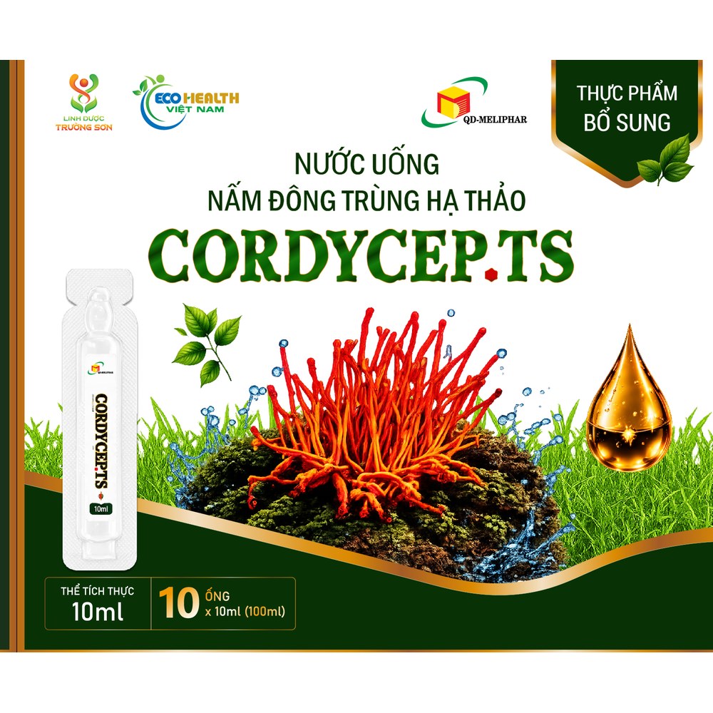 Ra mắt CORDYCEP.TS — nước uống nấm đông trùng hạ thảo dạng ống 10ml