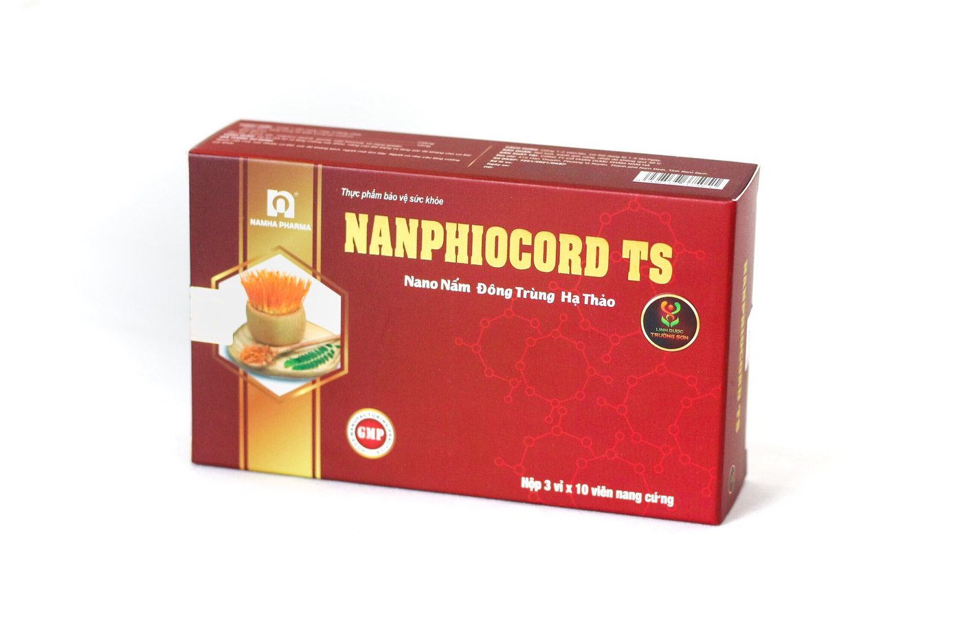 NANGOLDCORD TS nano cordyceps